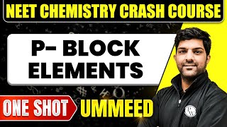 P BLOCK ELEMENTS in 1 Shot  All Concepts Tricks amp PYQs  NEET Crash Course  Ummeed [upl. by Alol]