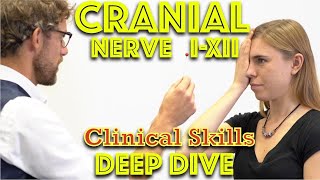 Cranial Nerve Examination  Deep Dive  Clinical Skills  Dr Gill [upl. by Ahouh598]