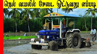 Puddling Process on Rice Fieldசேடை உழவு நெல் வயலில் ஒட்டுவது எப்படிRice Field Prepartion in Tamil [upl. by Garey]