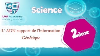 ✅ Science  L ADN support de linformation Génétique  2ème année [upl. by Ssitnerp]