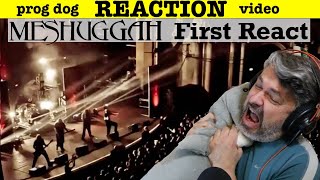 Trying To Headbang To MESHUGGAH For 936 Minutes  Dancers To A Discordant System  First REACTION [upl. by Delogu785]