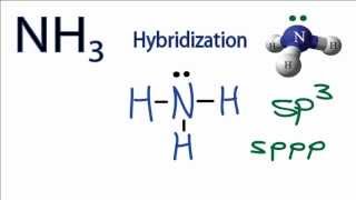 NH3 Hybridization Hybrid Orbitals for NH3 ammonia [upl. by Marlene]