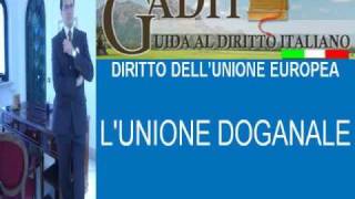 13 DIRITTO DELLUNIONE EUROPEA LUNIONE DOGANALEwmv [upl. by Eednar]