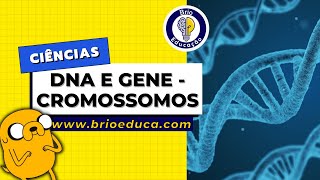 Ciências Cromossomos  DNA  GENE  Brio Educação [upl. by Ahsikit]