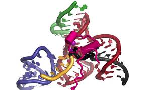 RNA Splicing by the Spliceosome Supplemental Video 4  Spliceosome activation [upl. by Durwyn]