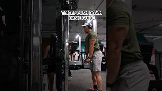 The BEST Tricep Pushdown Technique That Works [upl. by Assilana254]