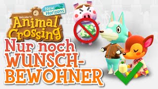 So kannst du SCHNELL und EINFACH den Campingplatz freischalten ANIMAL CROSSING NEW HORIZONS [upl. by Ynneb245]