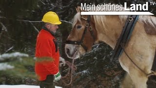 Jahresbeginn im Osnabrücker Land  die schönsten Höfe Norddeutschlands NDR [upl. by Ycam]