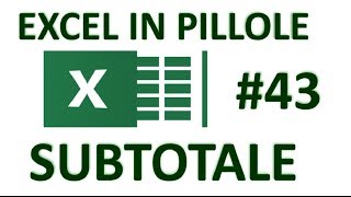 EP43 Lo strumento SUBTOTALE di excel anzichè la funzione SUBTOTALE [upl. by Angadreme]