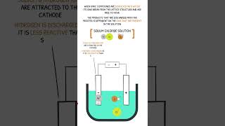 GCSE Chemistry Revision  Electrolysis of Aqueous Solutions [upl. by Ayam]