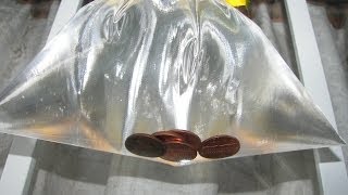 Get Rid of Houseflies  Pennies in Bag [upl. by Alexander]