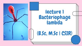 Bacteriophage Lambda  Lecture 1 Introduction [upl. by Lander966]