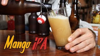 Idiots Guide to Making Incredible Beer at Home [upl. by Vez484]