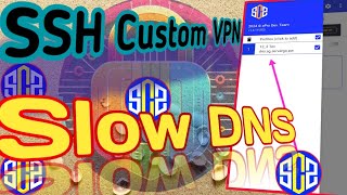 How to Set Up SSH Custom VPN with Slow DNS Settings  StepbyStep Guide [upl. by Anilrac693]