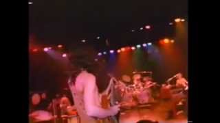 Frank Zappa  Muffin Man Live 1977 [upl. by Bara945]