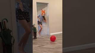 A fox and a dog find a balloon left by a fat shaggy pet [upl. by Hartwell267]