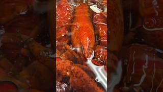 shortvideo spain donostia spainfood cuisine spaintravel bread shorts cuisine lobster [upl. by Annekahs347]