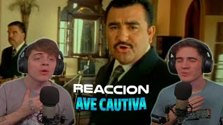 ARGENTINOS REACCIONAN A Conjunto Primavera  Ave Cautiva Video Oficial [upl. by Alverta]