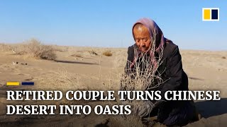 Retired Chinese couple dedicates nearly two decades turning desert into oasis [upl. by Notyal]