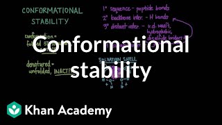 Conformational stability Protein folding and denaturation  MCAT  Khan Academy [upl. by Ecienahs]