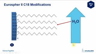 KNAUER HPLC Columns Tutorial 03 HPLC column RP [upl. by Raybin]