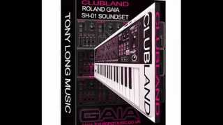 ROLAND GAIA SH01 SOUND PATCHES  CLUBLANDwmv [upl. by Eniawd743]