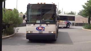 NJT Secaucus Junction Bus Action in HD [upl. by Hey]