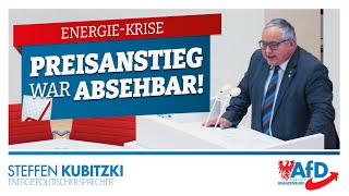 EnergieKrise  Preisanstieg war Absehbar  Steffen Kubitzki [upl. by Reddin873]