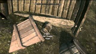 Skyrim  The Quill of Gemination Location Guide  The Pursuit [upl. by Neirda839]