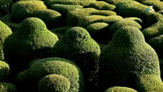 Tourisme les jardins de Marqueyssac [upl. by Eilime]