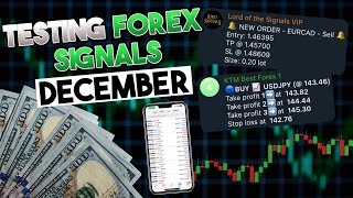 I Tested Multiple Forex Signals for a MONTH Review  The CopyTrader [upl. by Jarred315]