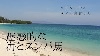 スンバ島に移住しました②インドネシアの旅行誌表紙を飾るスンバ島 Walakiriビーチと スンバ馬に乗ってみたsumba walakiri 海外生活 海外移住 [upl. by Anuat332]