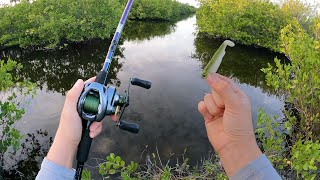 Snook amp Tarpon Fishing In HIDDEN Mangrove Canals [upl. by Cailly169]