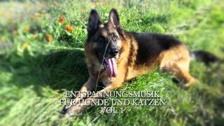 Entspannungsmusik  Tiermeditation  Für Tiere  Vol 1 [upl. by Venus]