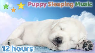 ☆ 12 HOURS ☆ Puppy Sleeping Music 🐶💗 Anti Separation Anxiety Relief ☆ Dog Relaxation Music [upl. by Yor]