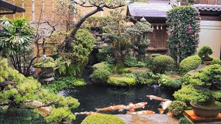 Japanese Gardens Around the World [upl. by Rimat]