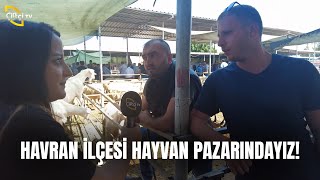 Havran İlçesi HAYVAN PAZARINDAYIZ [upl. by Yadnil571]