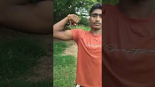 short video Aandhi Chandi kudi [upl. by Afton]