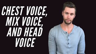 Chest Voice Mix Voice and Head Voice  Whats the difference  Tyler Wysong [upl. by Erleena]