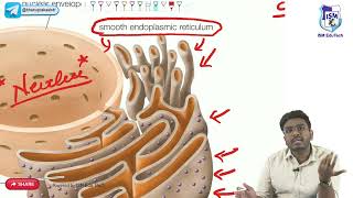 Cell physiology Structure and Function  General physiology [upl. by Sigismondo]