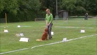 Anouk Rally Obedience Klasse 1 [upl. by Andri846]