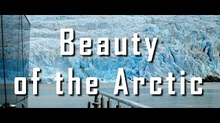 Beauty of the Arctic  Relaxing video of Svalbard wildlife and scenic landscapes in 4K [upl. by Kort]