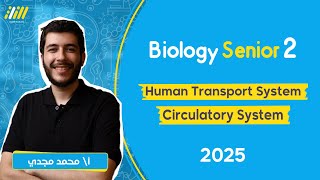 biology  senior 2 first term 2025  human transport system تانيه ثانوي  Circulatory System  magdy [upl. by Ailad83]