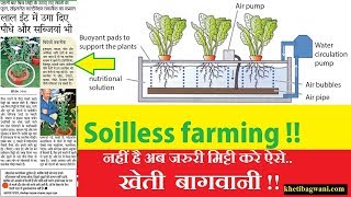 soilless farming soilless cultivation in hindi  soilless farming at home  Soilless agriculture [upl. by Pyszka]