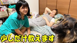 ゆっくりと時間が流れますシェパード犬マック君とオヤツの時間 [upl. by Katt708]