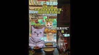 “亲朋满座无人悲，一饭之恩男儿泣” 猫meme 刀子 这是一个悲伤的故事 催泪 真实事件 猫meme cat 喵不可言 猫meme 喵不可言 funny [upl. by Nalra]