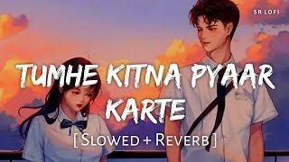 Tumhe Kitna Pyaar Karte Slowed  Reverb  Arijit Singh  Bawaal  SR Lofi [upl. by Ponce]