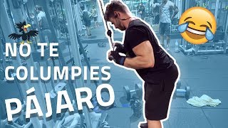 Extensión de triceps en polea en 1 minuto FORTALECER TRÍCEPS [upl. by Eeslek957]