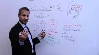 Immunology Basophil Mast Cells Lecture 4 Part 7 [upl. by Alyk]