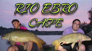 LA LIAMOS EN EL EBRO  CASPE  CARPFISHING  2024 [upl. by Nichani]